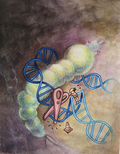 An artist’s depiction of Ifegenia, a new technology developed at UC San Diego that uses CRISPR genetic editing to disrupt a gene that controls sexual development in the larva of African mosquitoes