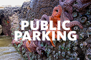 Public parking