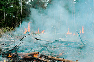 fire, Amazon rain forest