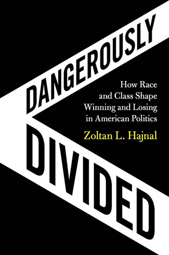 Dangerously Divided book cover