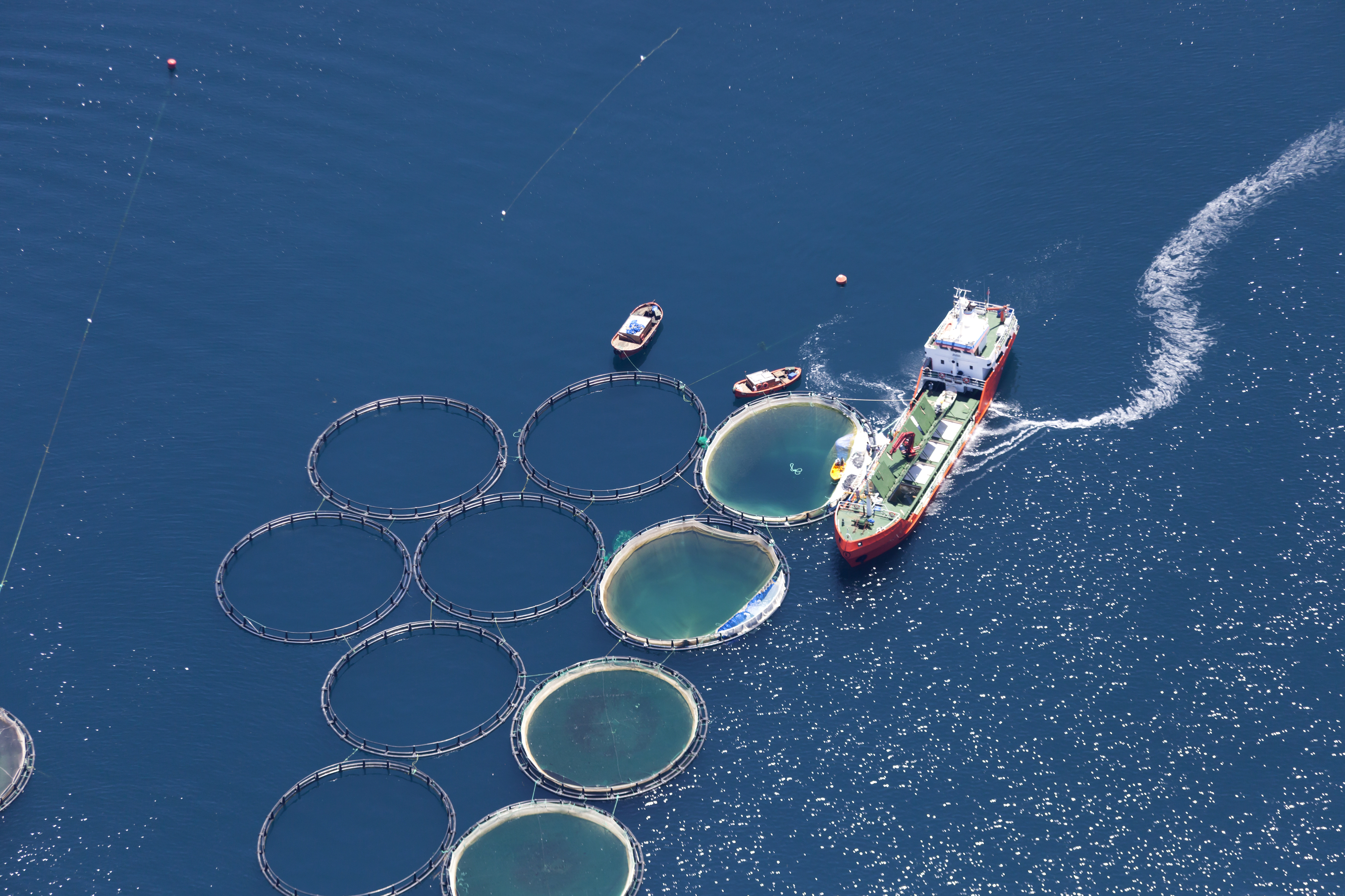 Fish farm