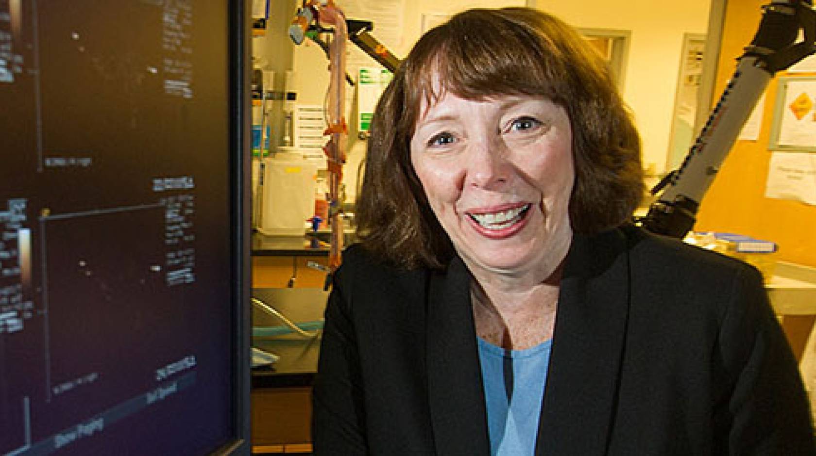 Katherine Whittaker Ferrara, distinguished professor of biomedical engineering