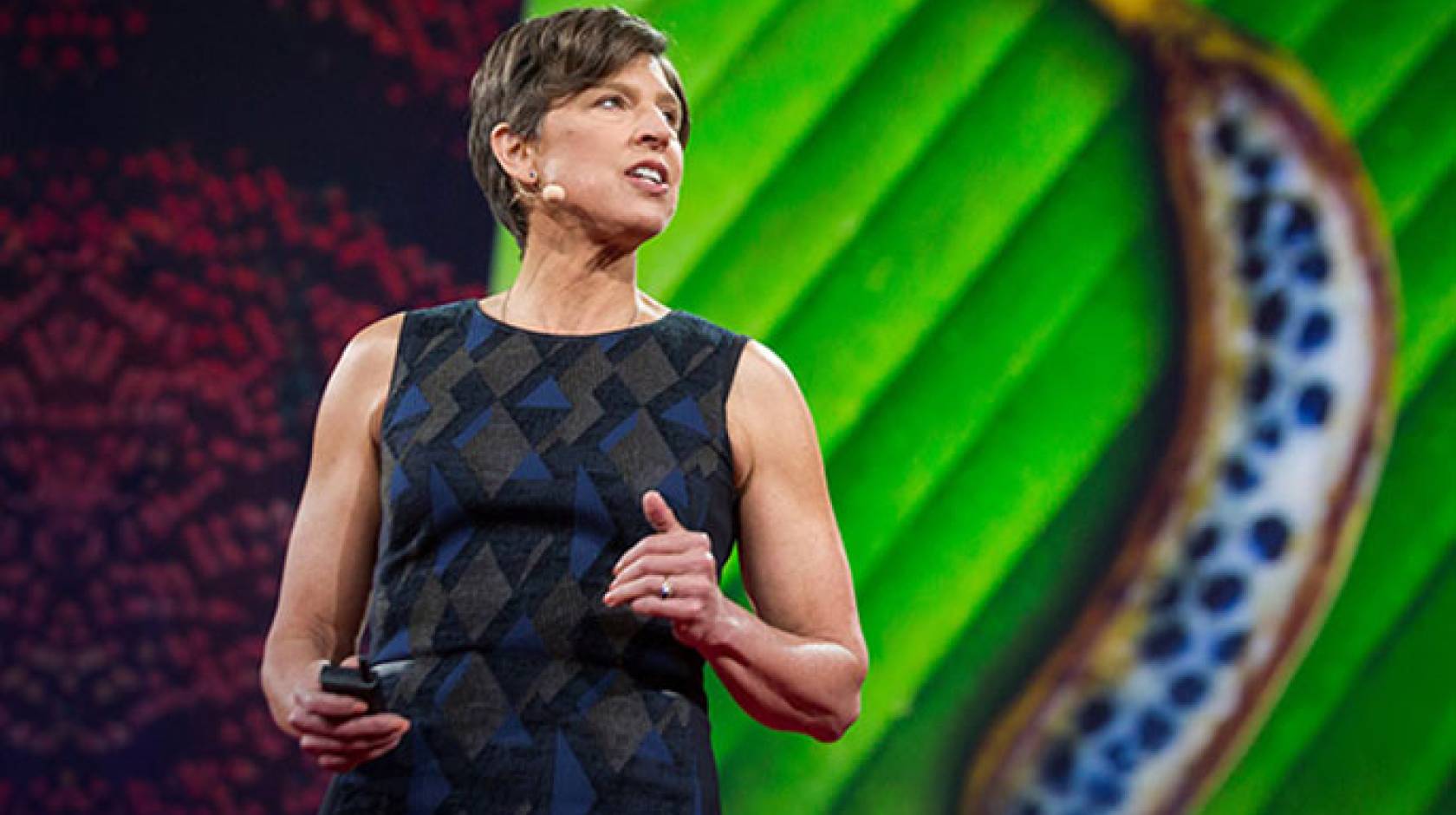 In a TED talk, Pamela Ronald describes her decade-long quest to isolate a gene that allows rice to survive prolonged flooding.