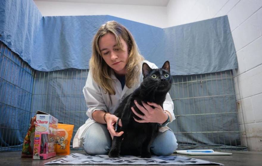 A young woman with blonde hair kneels behind a black cat holding nail trimmers. The cat is looking past the camera, and there's a tarp-covered fence and a cinder block wall in the background, suggesting an animal shelter.