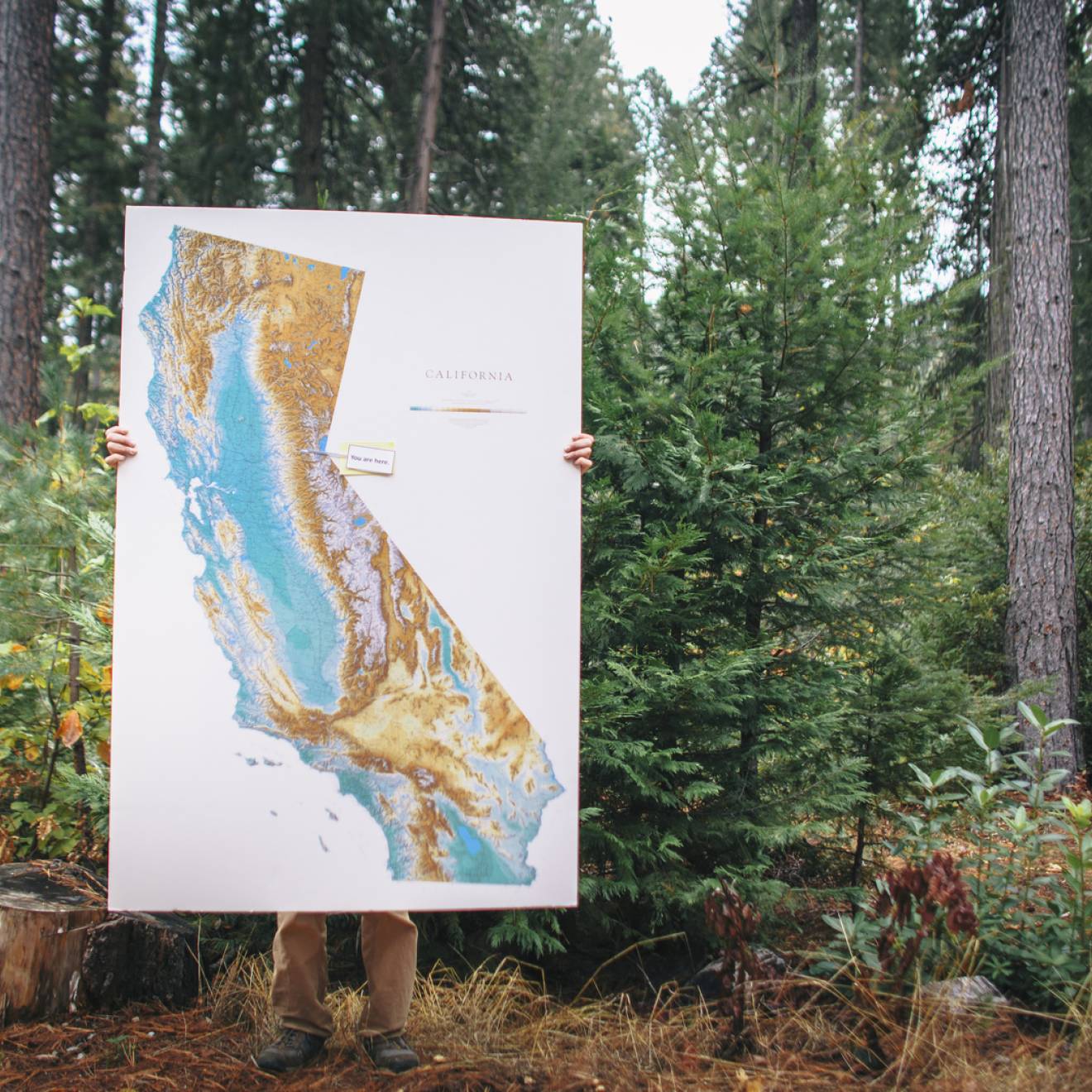 A person stands in a forest, holding a big map of California, which covers all but their legs and hand. 