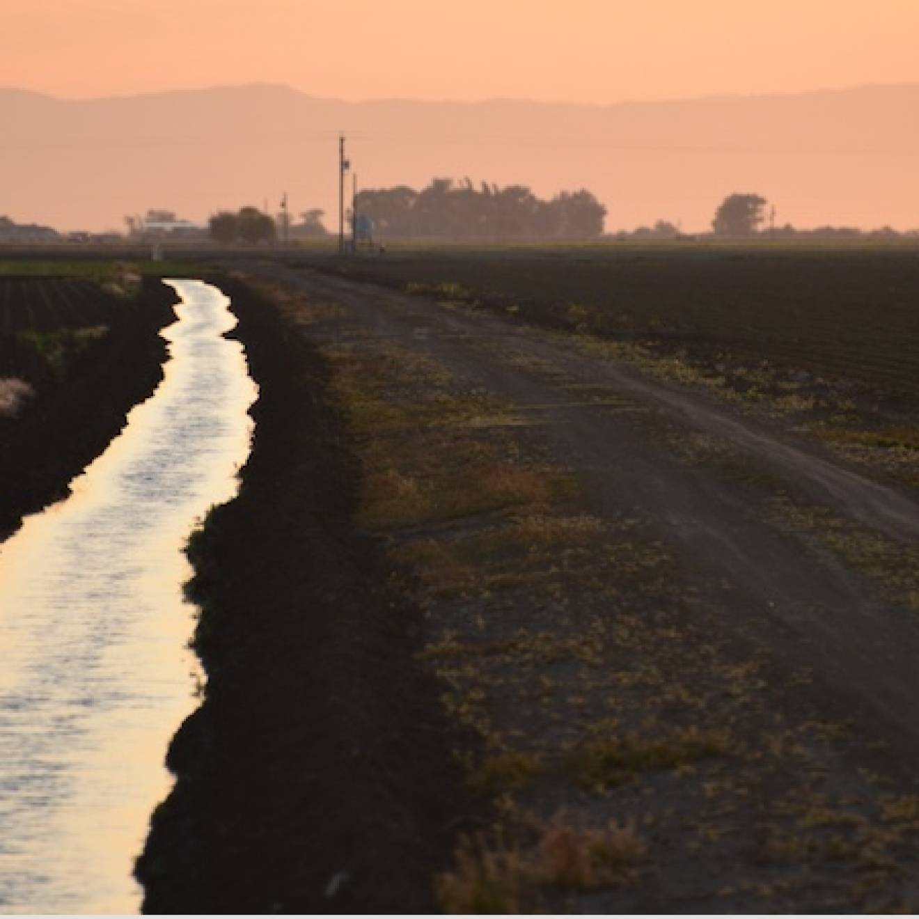 A irrigation canal runs away from the camera to a vanishing point. The fields on either side are dark, the canal reflects the orange-pink hazy sky