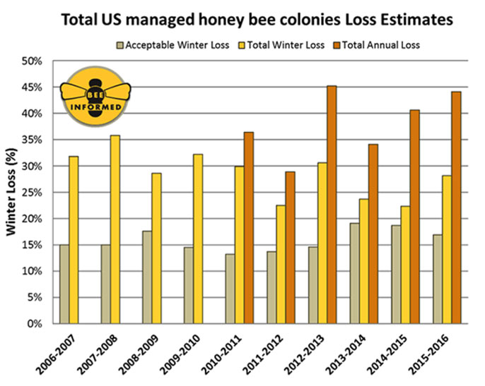 UC Davis bee graph