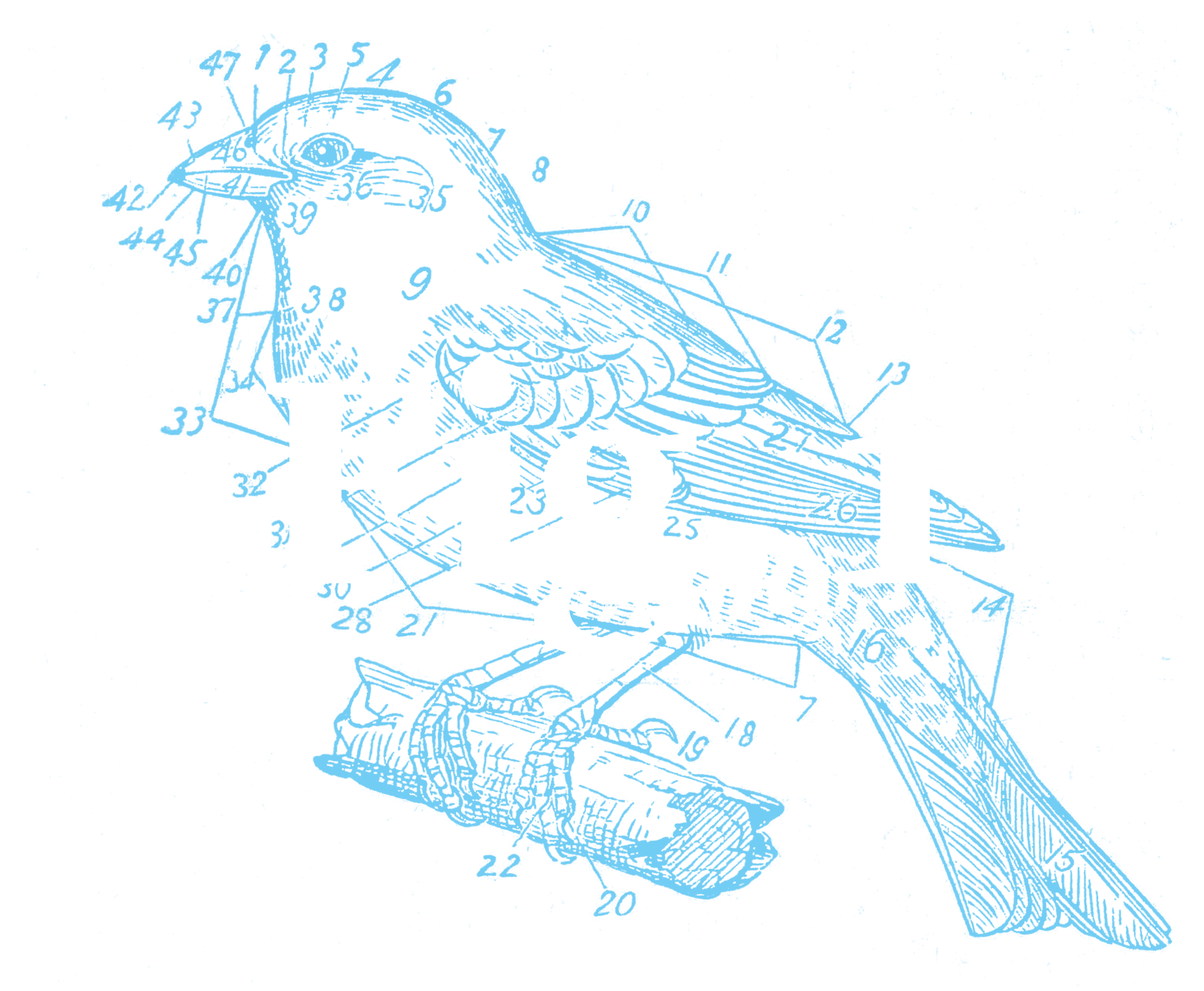 fig-1 logo