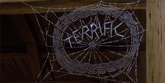 Spider web with the word terrific spelled out in it