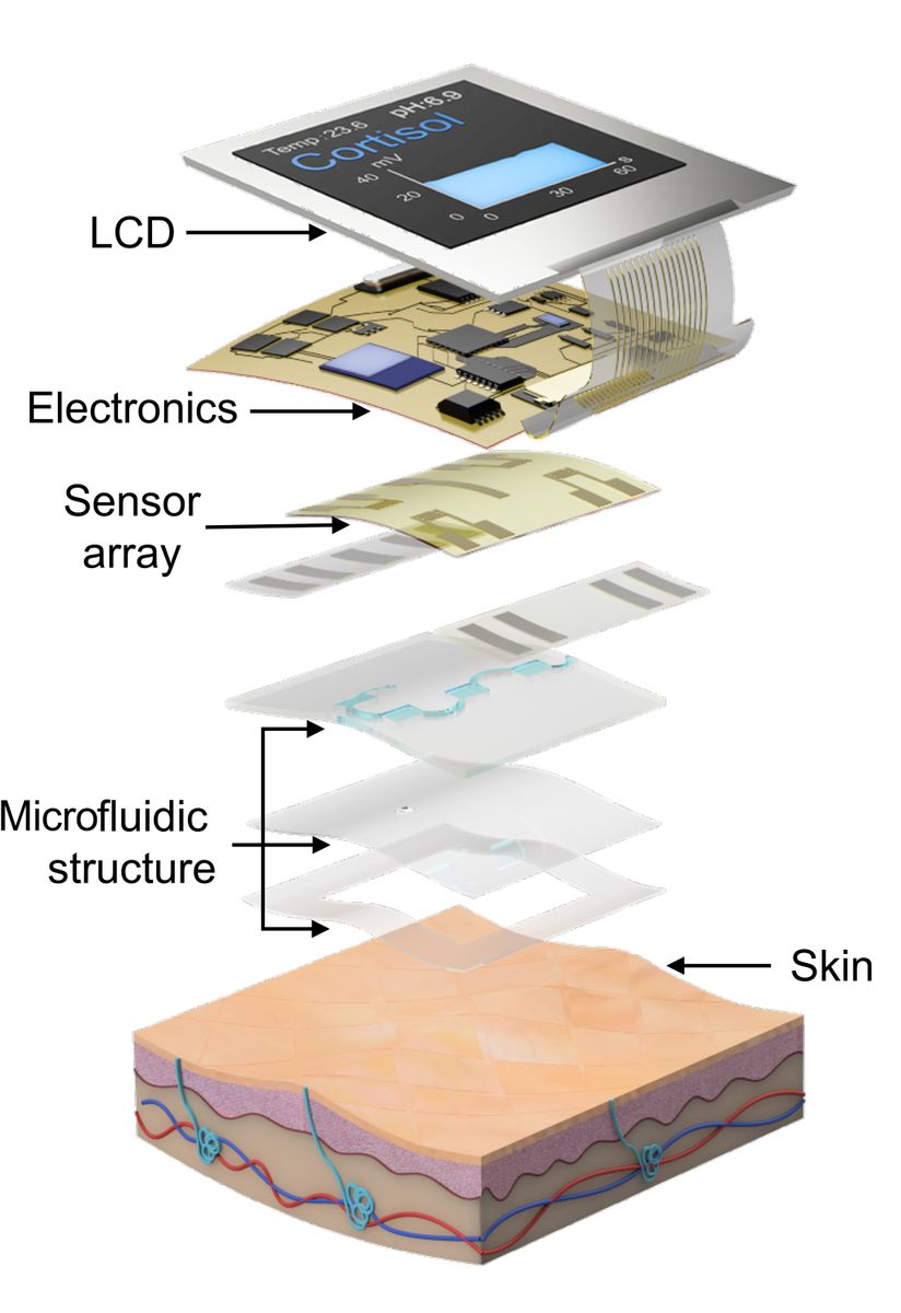 Diagram of how the cortisol smartwatch is built