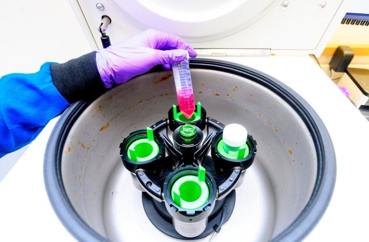 Sagar Bapat loads a tube of lysates into a centrifuge in his lab at UCSF’s Parnassus campus