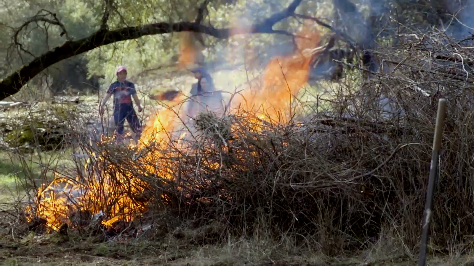 Bush and sticks burn as someone looks on in the background during a cultural burn