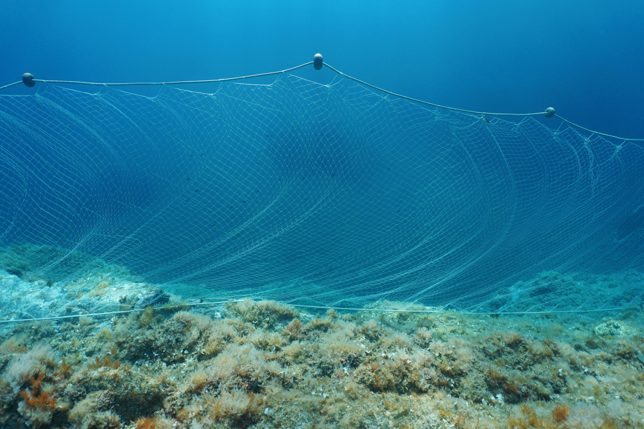 Gillnet in the ocean