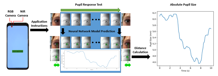 A diagram of the flow from data acquisition and pupil analysis to the final data