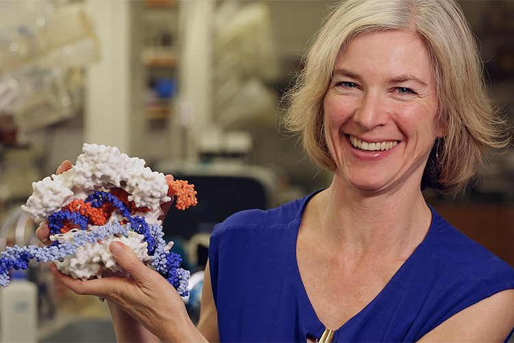 Jennifer Doudna holding a model of CRISPR-Cas9