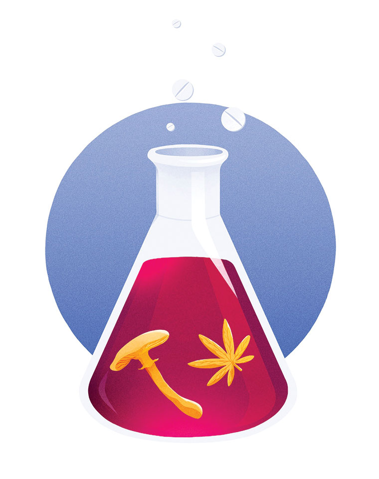 Illustration of a chemistry flask with a mushroom and marijuana leaf in it