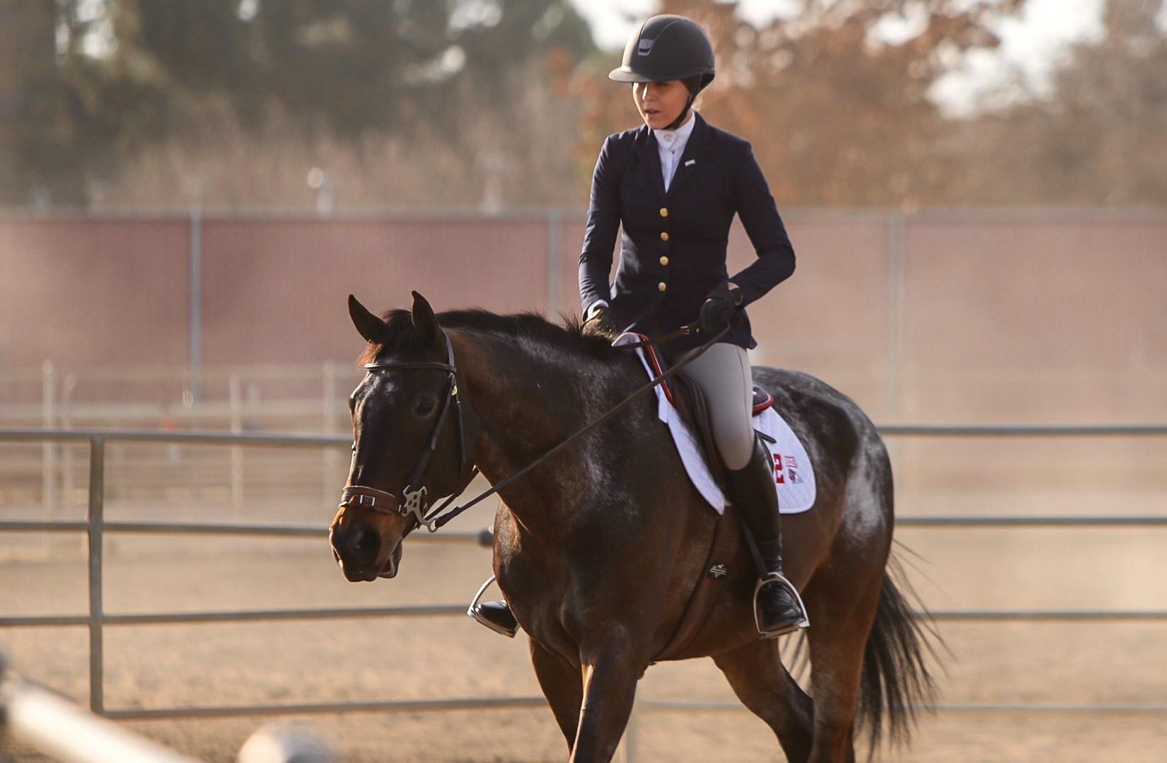 Sierra Gundersen on a horse in a ring outdoors