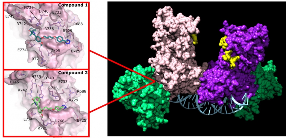 A close-up view of the enzymes in the four-part complex