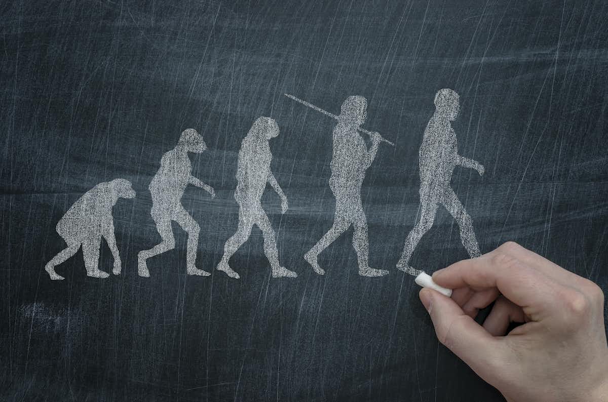 Chalkboard illustration of ape to human evolution
