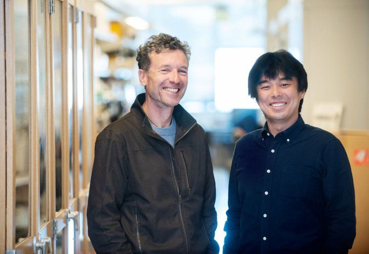 Massimo Scanziani, Ph.D. (left), and Yuta Senzai, Ph.D. (right)