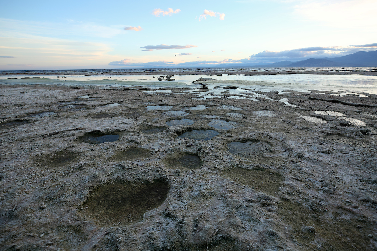 Salton Sea shoreline