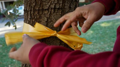 Hands tying a yellow ribbon around a tree