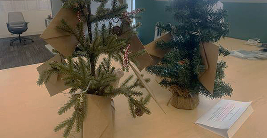 Small holiday trees, wrapped in brown paper