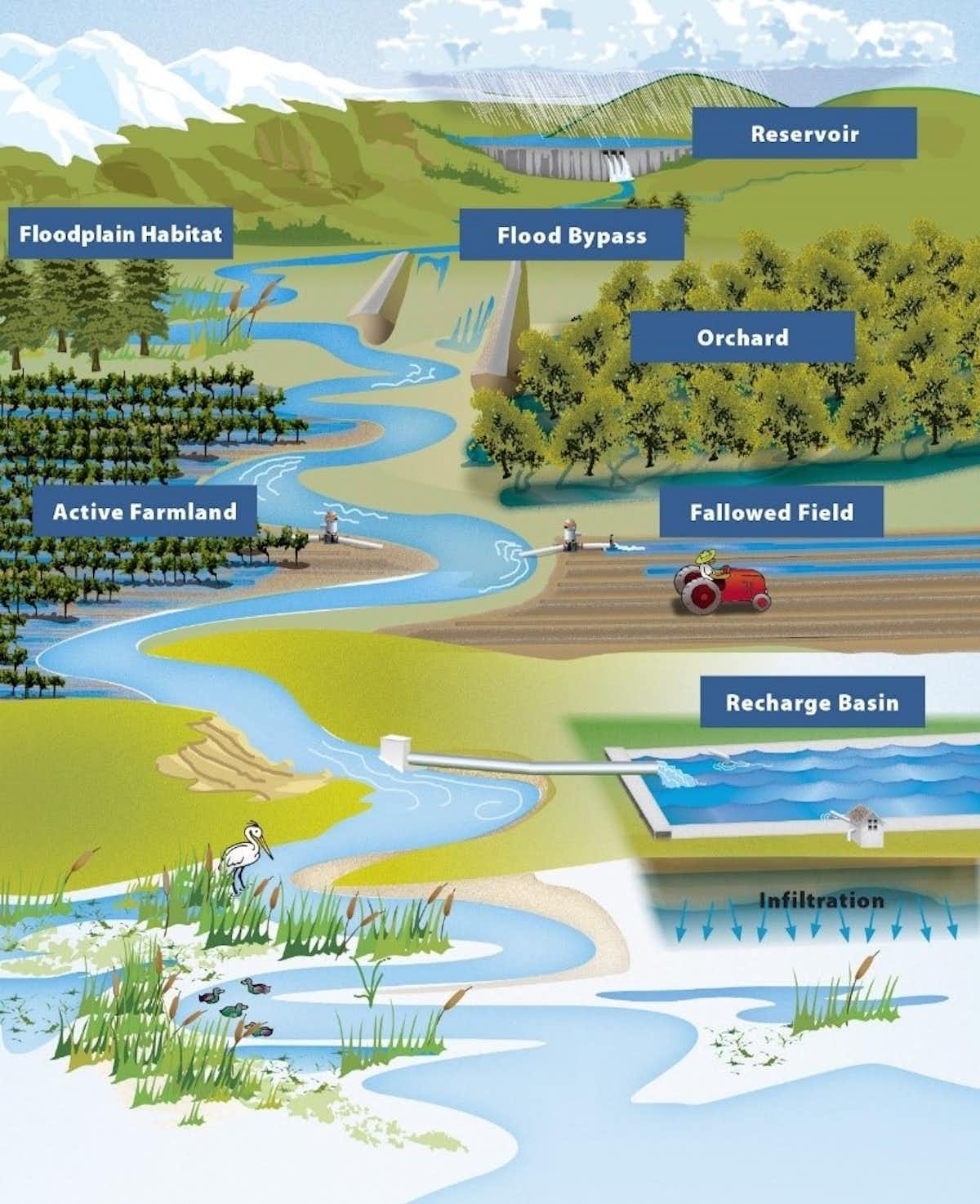 Graphic explaining how floods are managed