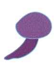 Mushroom illustration, purple