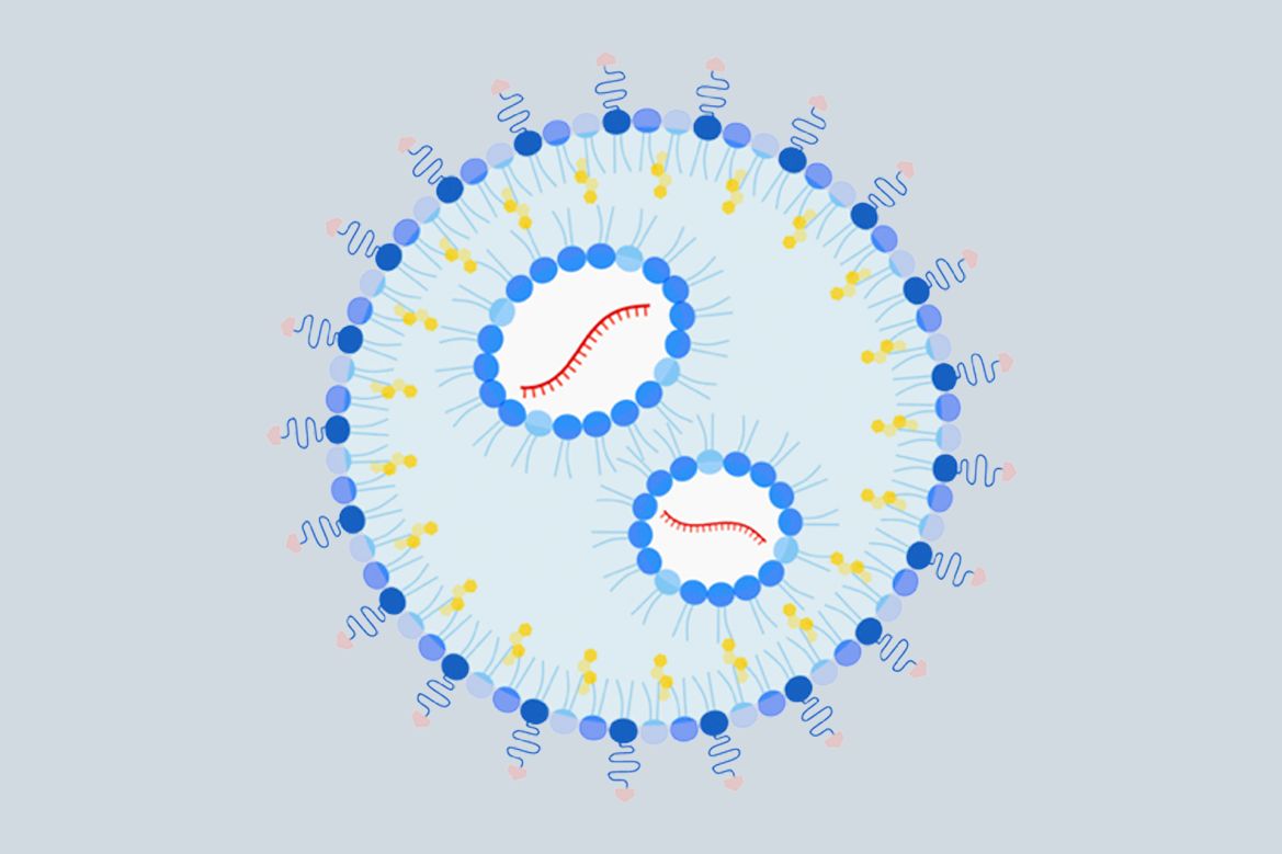 Illustration of the UCLA-developed nanoparticle; a big circle with two smaller circles within