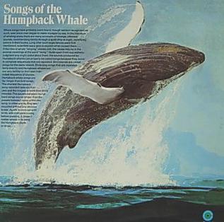 Songs of the Humpback whale LP cover with a humpback whale breaching