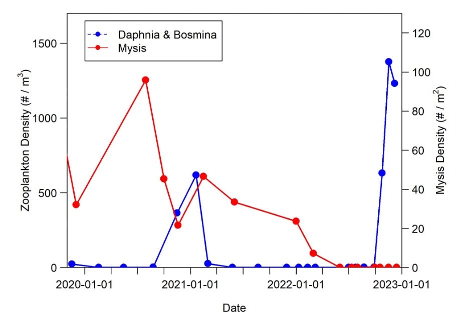 Zooplankton density chart