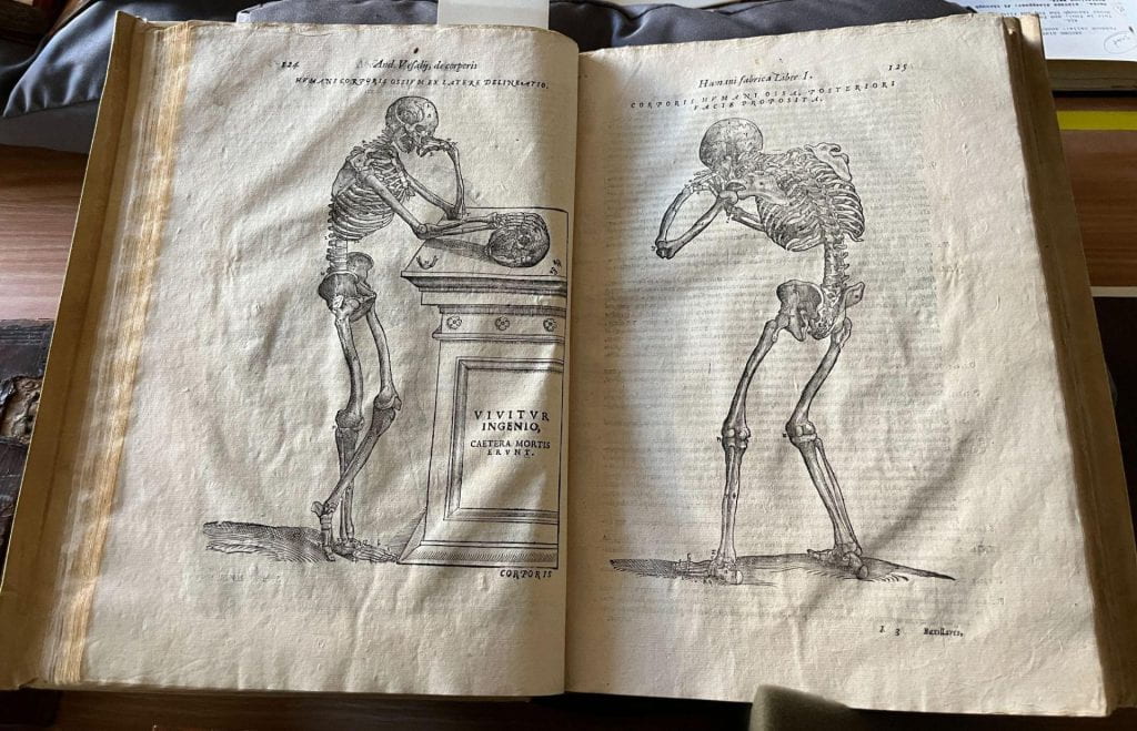 An anatomy book from 1604, picturing human skeletons in various poses