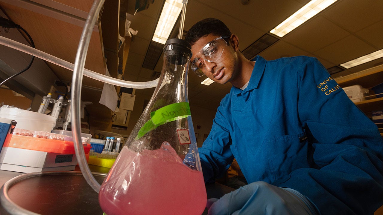 Neeraj Senthil in lab coat and glasses working in the lab