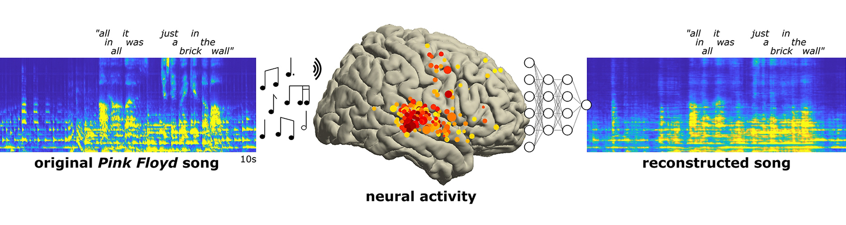 Visualizations of music input, output and brain areas activated