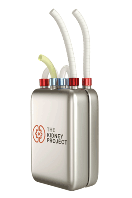 The Kidney Project bioreactor