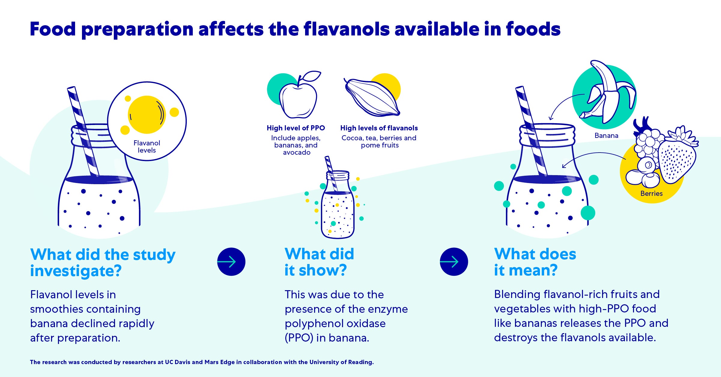 Diagram in three parts of a smoothie, showing how different fruits entering the smoothie affect its nutritional value. It shows what the study investigated, what it showed and what it means. 