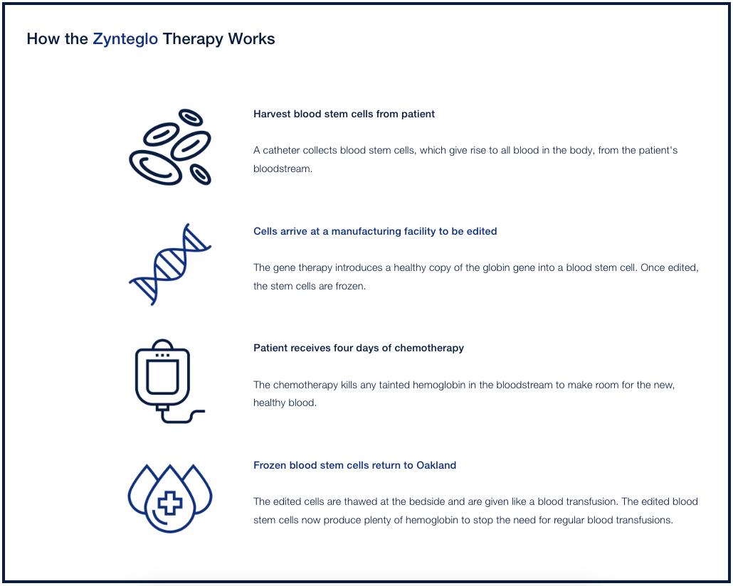 A schematic detailing the steps of Zynteglo therapy