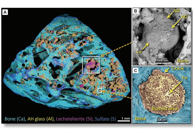 Graphic showing microscope slides of material from a coment's impact, showing fragments of bone and melted glass.