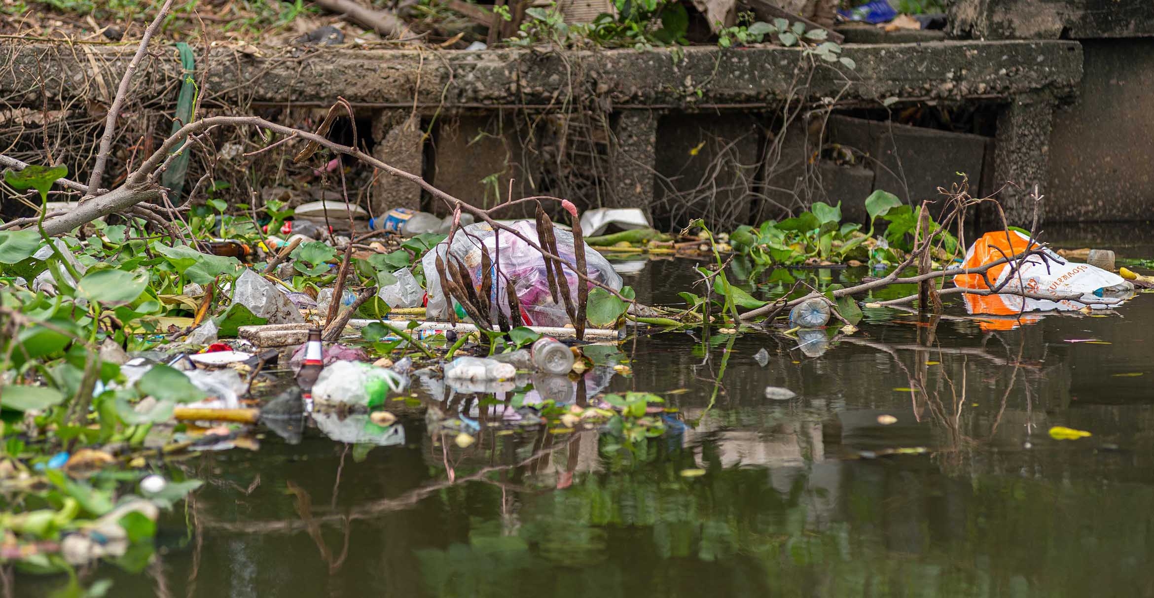 Plastic bags and bottles float on the surface of a river, caught in aquatic vegetation