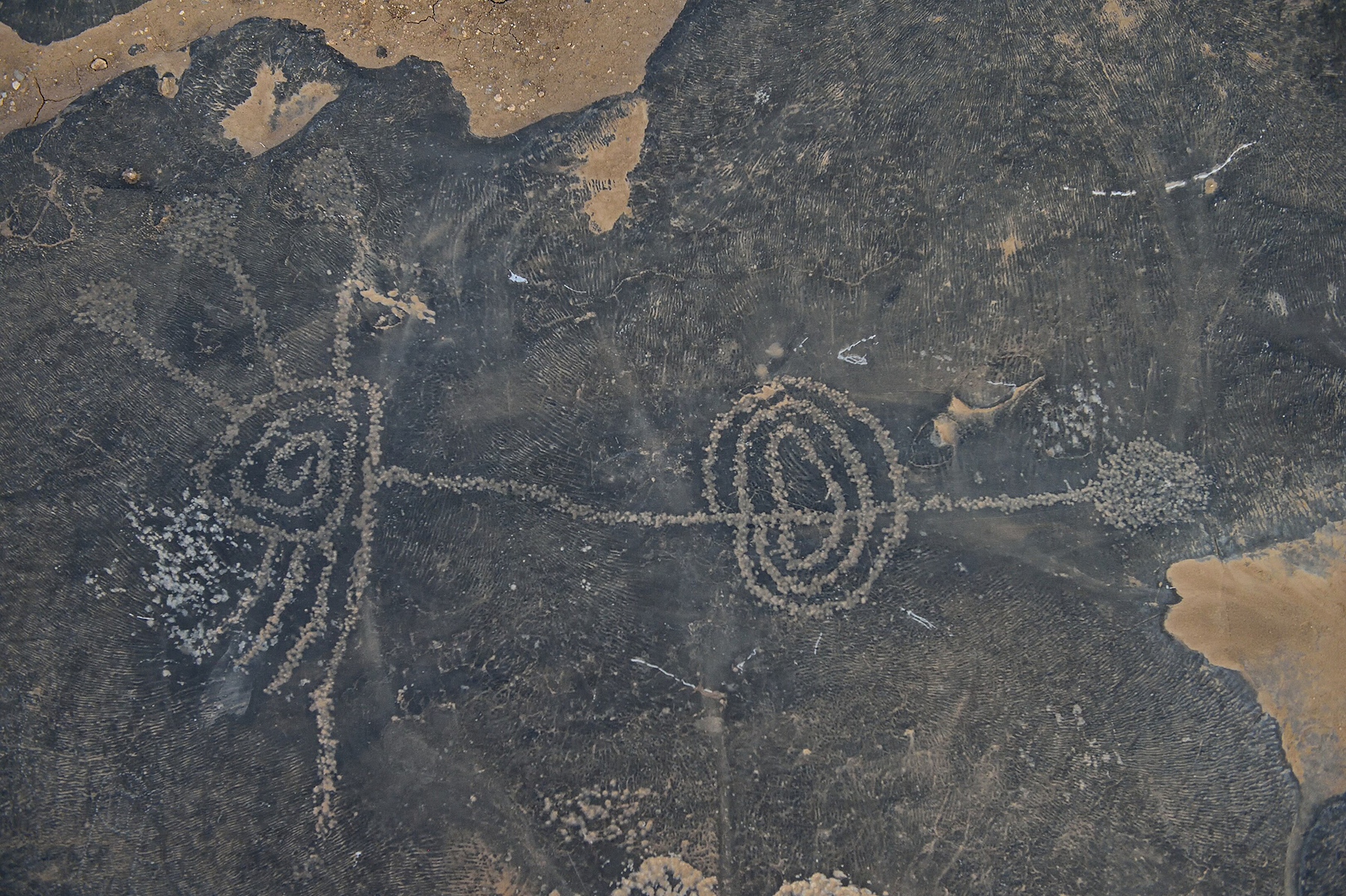 Rock art in Richtersveld National Park, showing a line with some circles