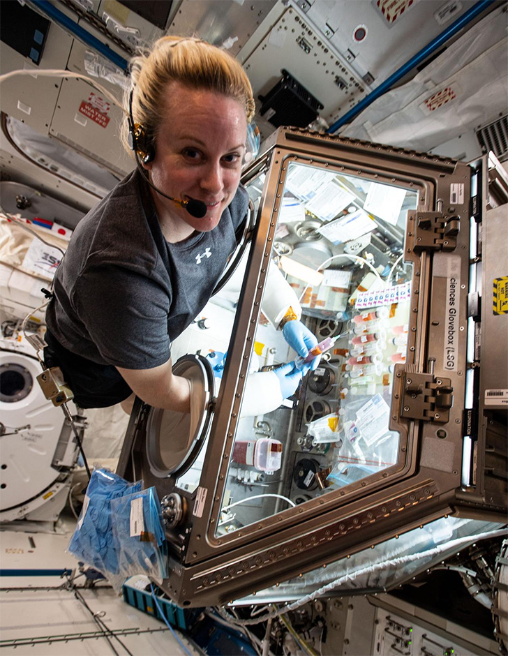 Kate Rubins works with engineered heart tissue samples aboard the ISS for a study of space-caused cell and tissue abnormalities. 