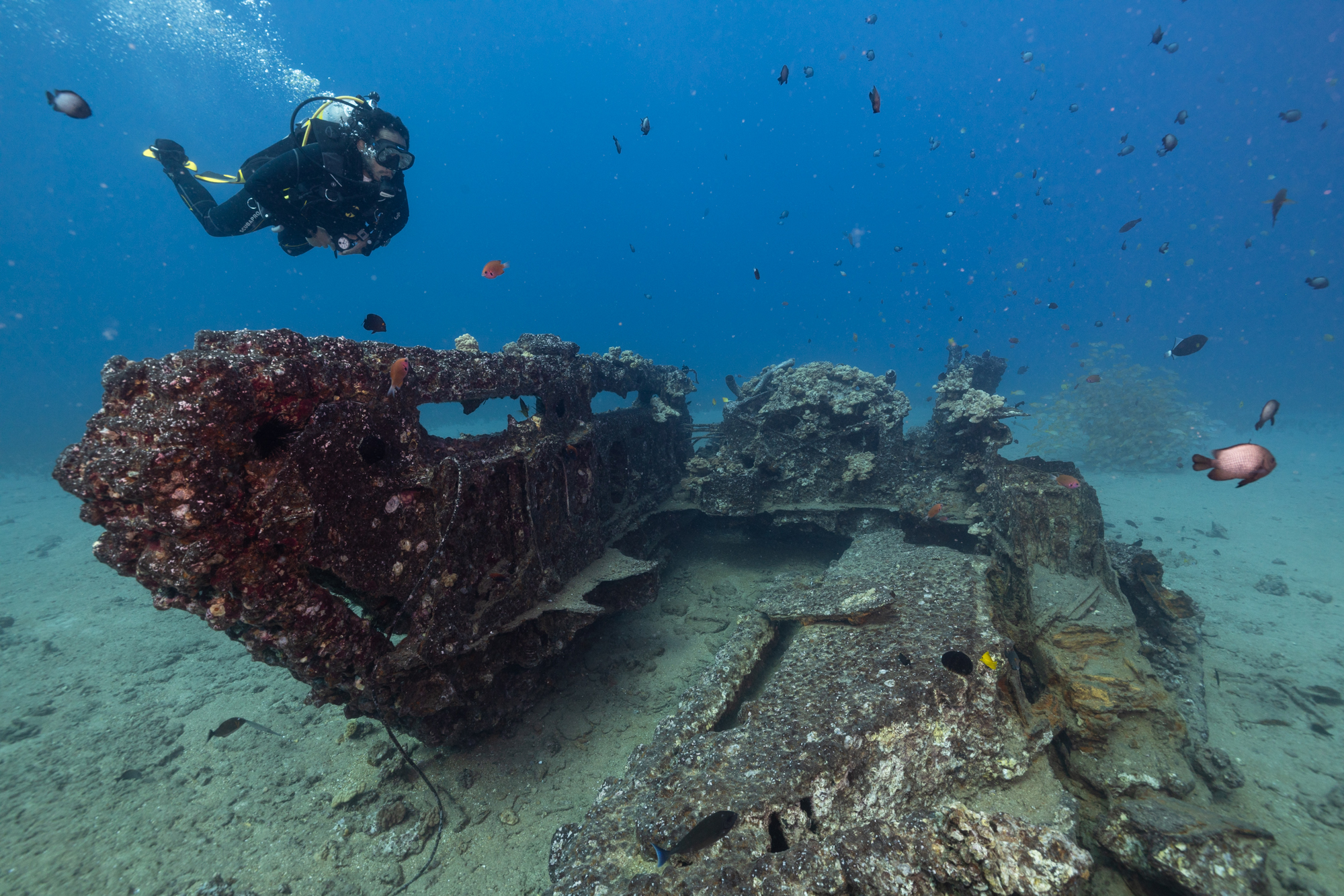 Justin Dunnavant in scuba gear, diving and approaching a shipwreck, fish swimming nearby