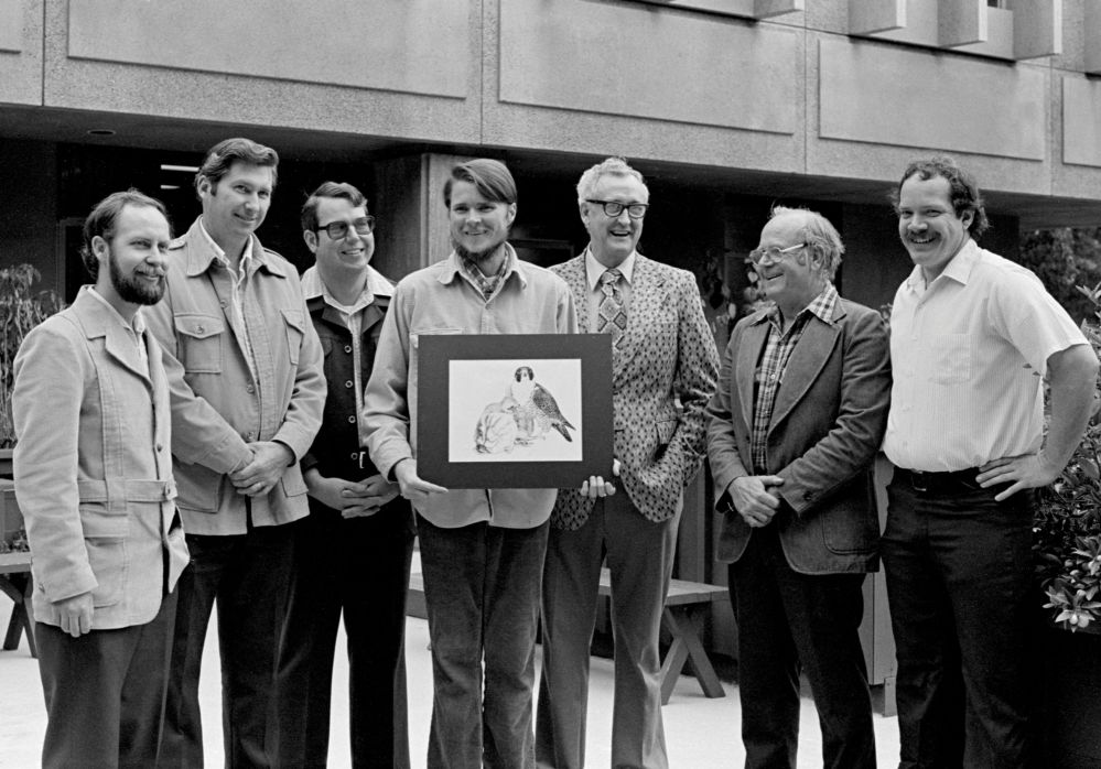 A black and white photograph of 7 men in the 1970s on the UC Santa Cruz campus; in the middle, Brian Walton holds a portrait of a peregrine falcon