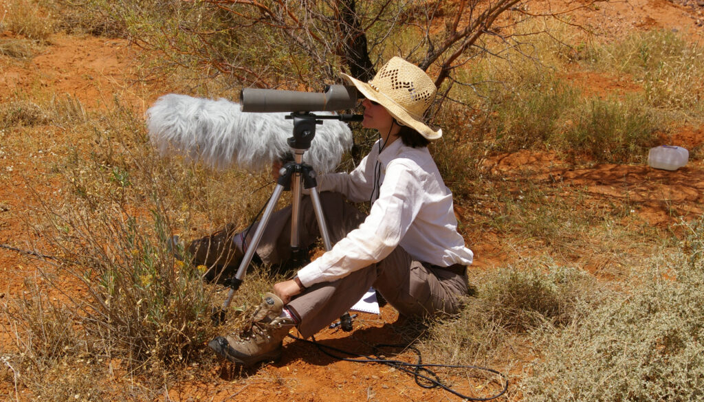 A woman in a straw hat sits on the ground in a scrubby field, looking through a long spotting scope next to a ~2-foot long microphone