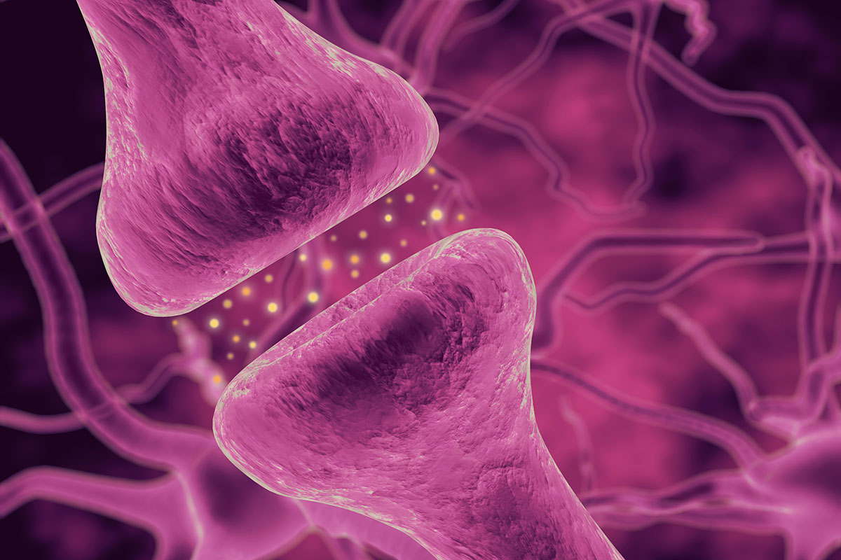 Artist's rendering of the junction between 2 neurons in the brain, in microscopic view, sending glowing molecules between each other.