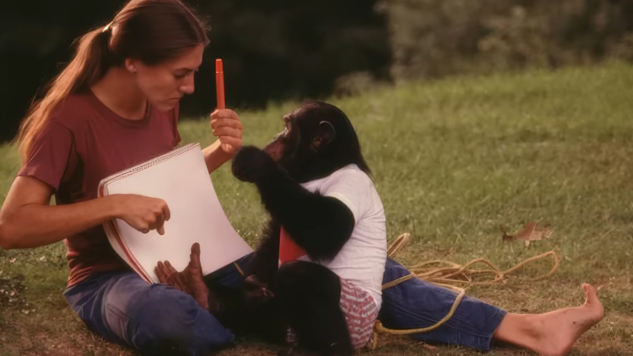 A woman holds up a writing pad and a paper while a young chimpanzee points at it