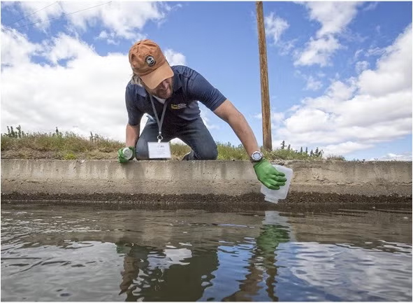 Person in a blue shirt and cap collecting water samples from a calm body of water. 