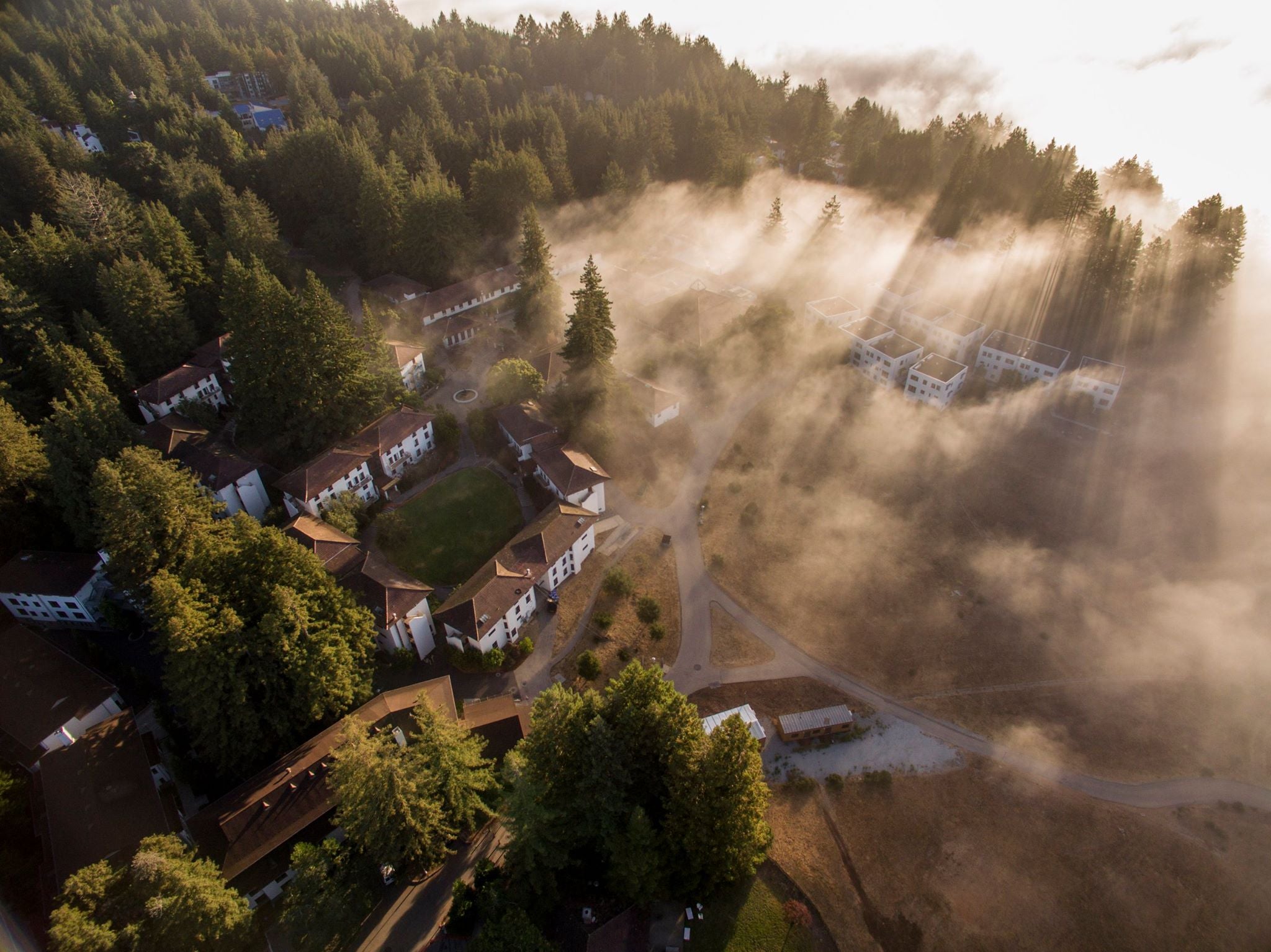 Aerial view of the UC Santa Cruz campus and redwood forest