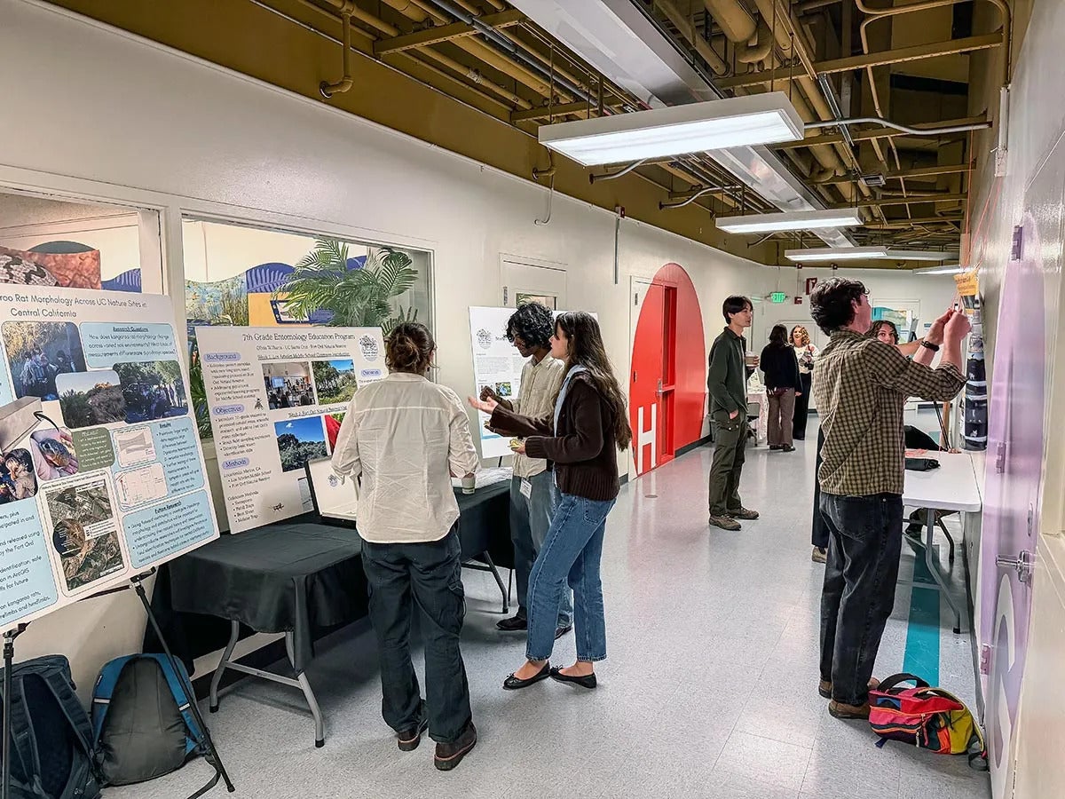 Students and others look at posters in a hallway
